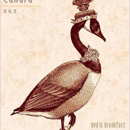 Madame Canard Бавено Екстериор снимка